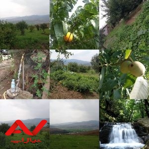 فروش زمین با منظره فوق العاده