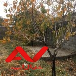 زمین محصور شده فروش فوری