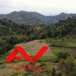 ۲۶هزار متر زمین جنگلی