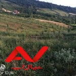 فروش باغ ۳۰۰۰متری