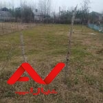 زمین خوش قواره
