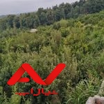 فروش زمین جای بکر