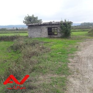 فروش زمین کشاورزی