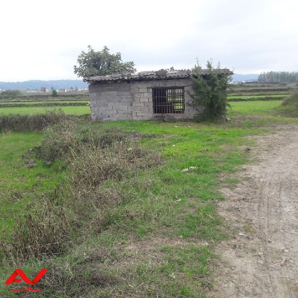 فروش زمین کشاورزی