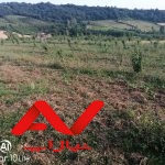 فروش باغ ۳۰۰۰متری