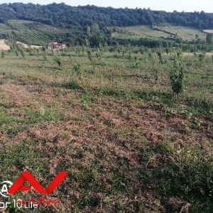 فروش باغ ۳۰۰۰متری