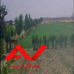 زمین هکتاری فروش فوری