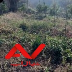۳۵۰۴متر زمین جای شیک و ویو ابدی