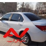 دنا معمولی تیپ ۲، مدل ۱۳۹۷