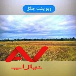 ویلا فلت ،شیک و نقلی