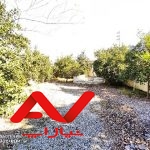 ویلا شیک