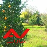 ویلا باغ