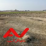 زمین کشاورزی