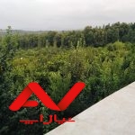 فروش زمین جای بکر