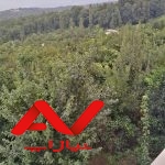 فروش زمین جای بکر