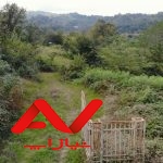 ۲۶هزار متر زمین جنگلی