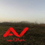 فروش ویژه زمین باغی
