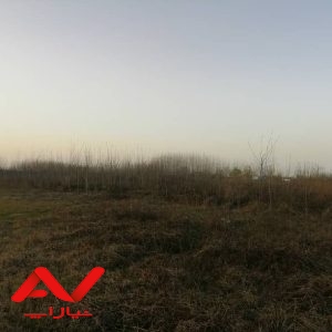 فروش ویژه زمین باغی