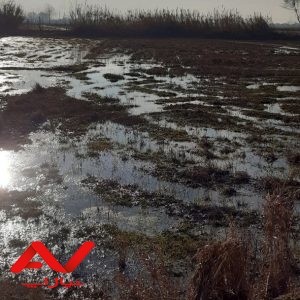 زمین زراعی فروشی