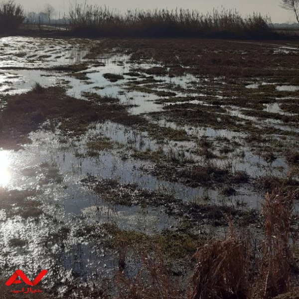 زمین زراعی فروشی