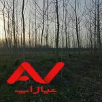 فروش ویژه زمین باغی