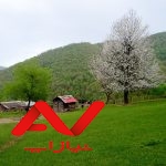 زمین ۶۶۰متری با ویو ابدی