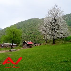 زمین ۶۶۰متری با ویو ابدی