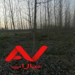 فروش ویژه زمین باغی