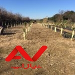 فروش زمین 2500متری  کیلومتر 8جاده دریا