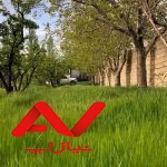 فروش فوری باغ