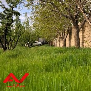 فروش فوری باغ