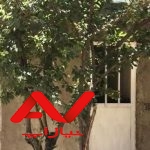 فروش فوری باغ