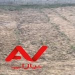 فروش فوری باغ