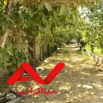 فروش فوری باغ