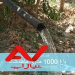 باغ سرسبز فروش فوری