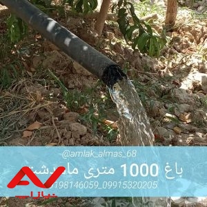 باغ سرسبز فروش فوری