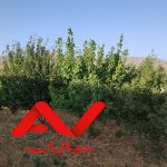 باغ کامل آماده در ایسپیران