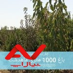باغ سرسبز فروش فوری