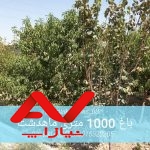 باغ سرسبز فروش فوری