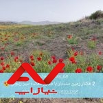 فروش زمین باغی