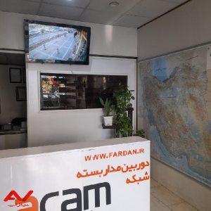 همکار خانم منشی