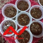 سفارش انواع سبزیجات محلی