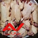 سفارش انواع سبزیجات محلی