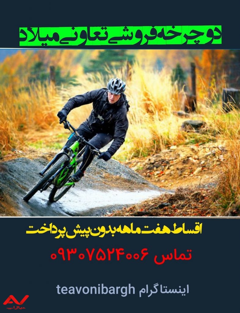 دوچرخه برندهای معتبر اصل تایوان