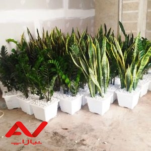 خدمات باغبانی باغبان تهران تعویض خاک گلدان گلکار